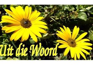 Die krag van klein dingetjies